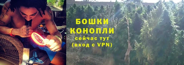 дурь Богородицк