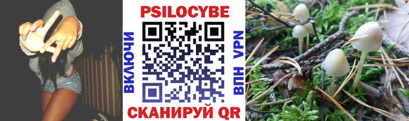 Псилоцибиновые грибы Psilocybine cubensis магазин продажи наркотиков Дедовск